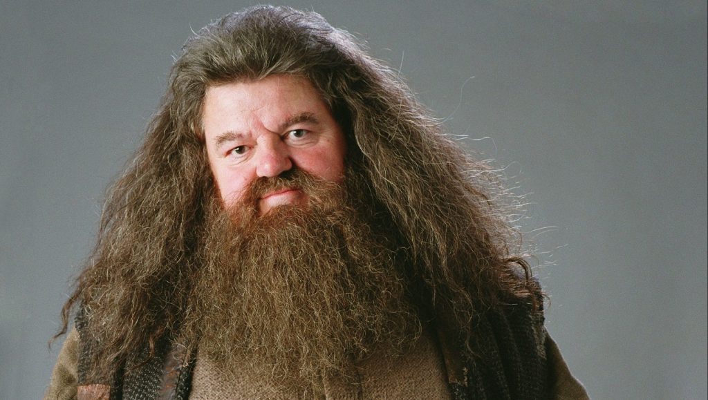 Hagrid